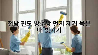 🏡 전남 진도 방충망 먼지 제거, 묵은 때 벗기기 ✨