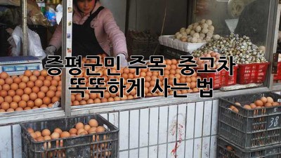 증평군민 주목! 🚗💨 중고차 똑똑하게 사는 법